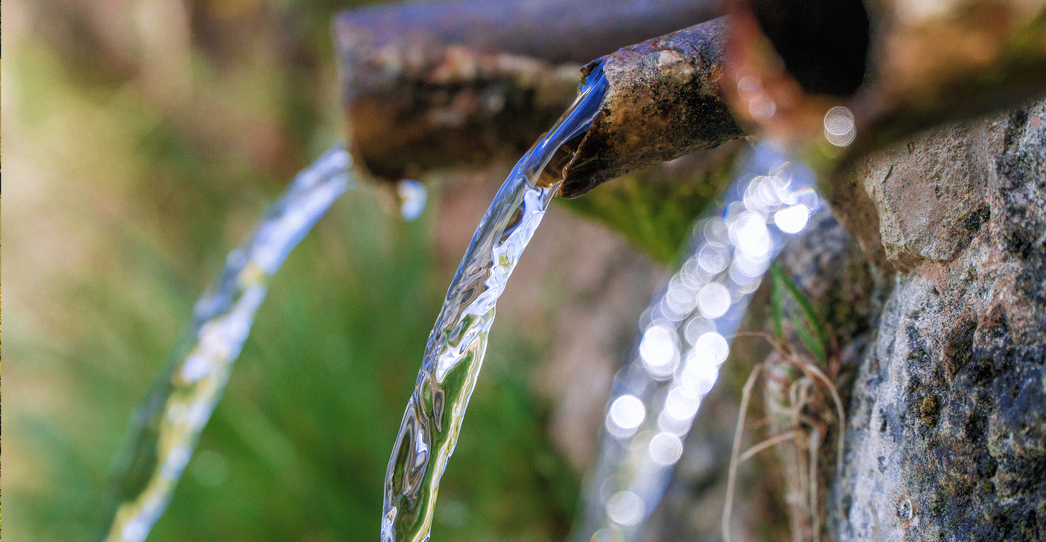 BIOS WATER - Premium artesic spring water