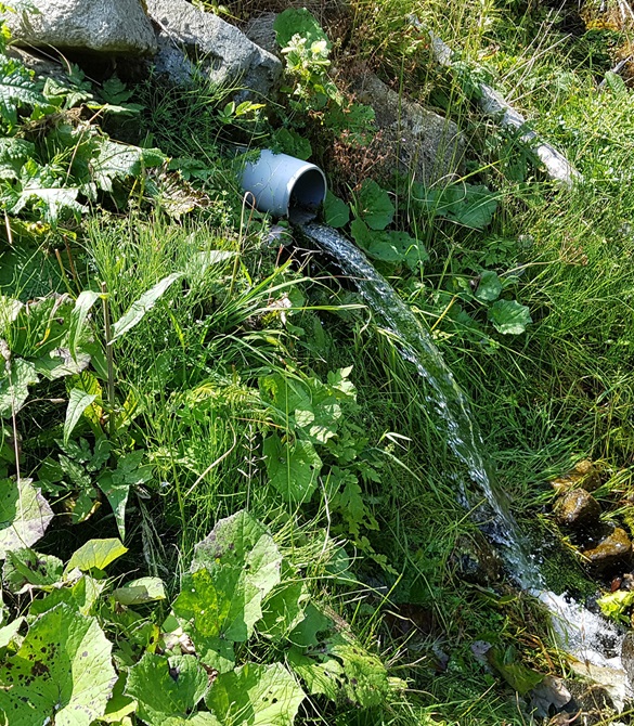 BIOS WATER - Premium artesic spring water